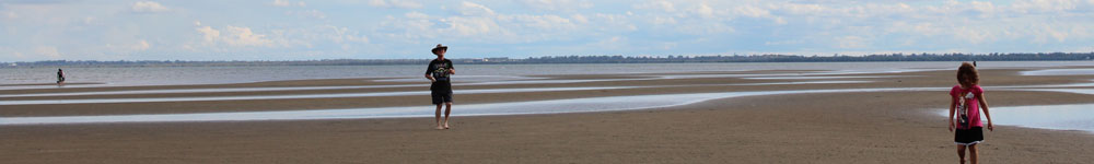 banner - Horchner Family Tree