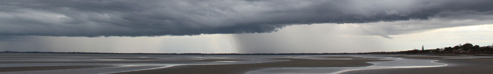 banner 3 Horchner Family Tree